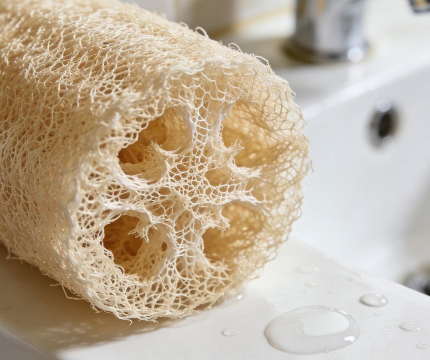 nature loofah