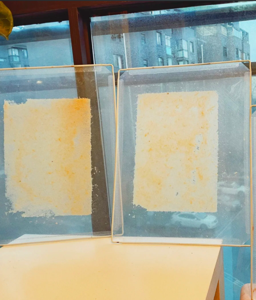 Paper made from sugarcane bagasse
